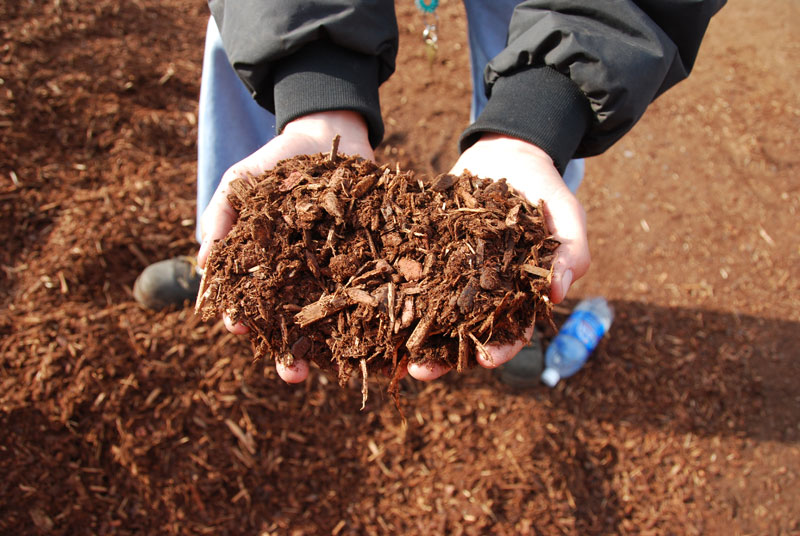 Horticultural Pumice – Joes Landscaping Supplies